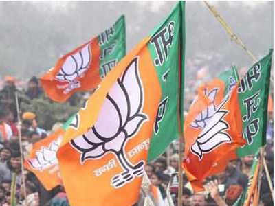 Lok Sabha polls 2019: 7 BJP candidates file nominations in Gujarat