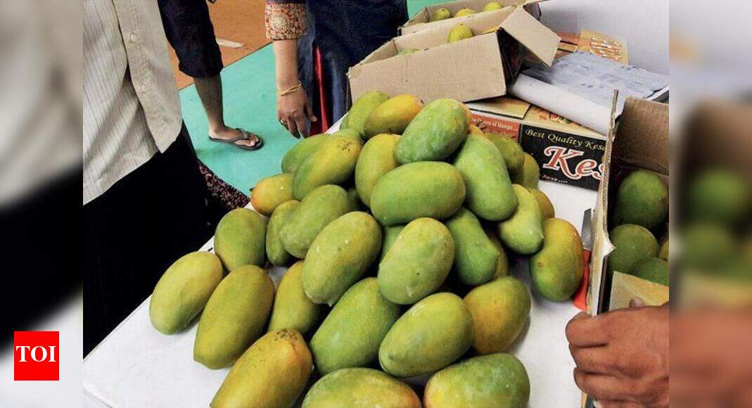 Kesar mango to flood markets from next week Rajkot News Times of India