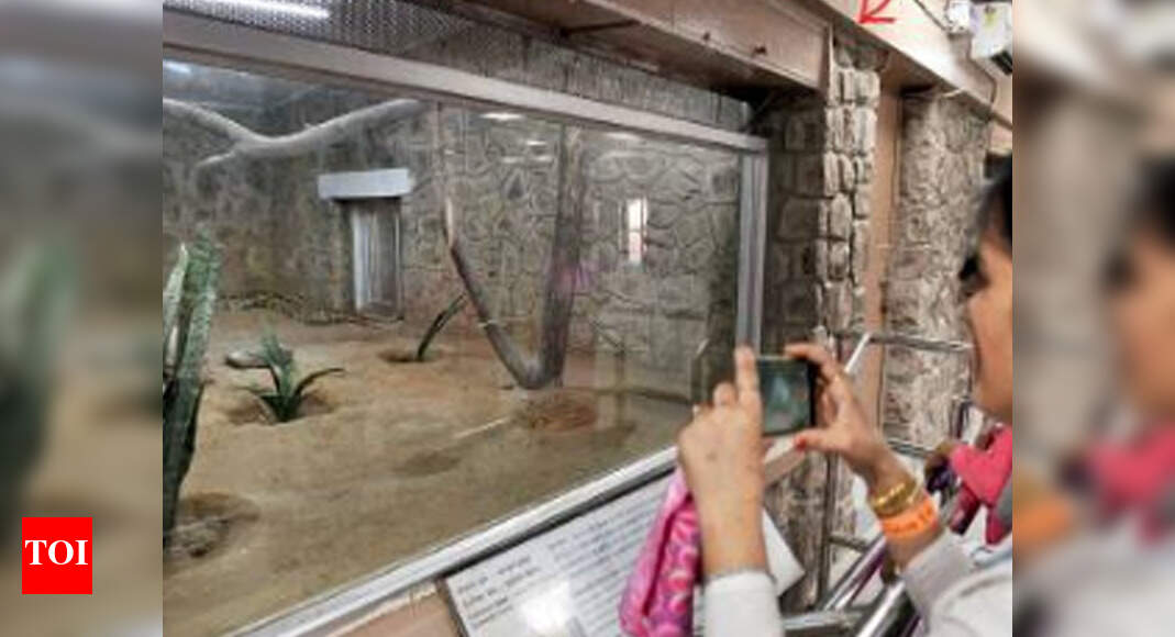 All that slithers, you can see here Reptile house to wow visitors