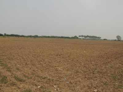 Crop failure: Power firm to compensate farmer