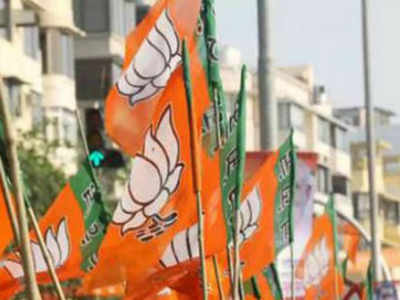 BJP announces names of 3 more Lok Sabha candidates