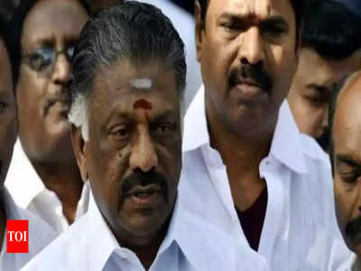 Tamil Nadu will become a hut-free state by 2023, says OPS