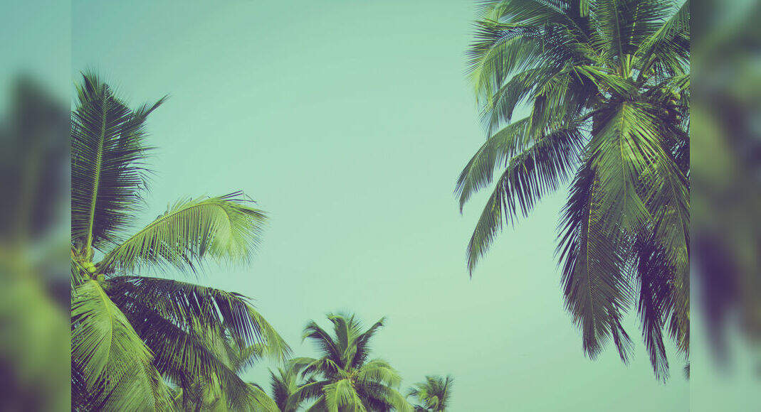 Surviving Summer In India Tricks And Tips Times Of India Travel