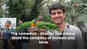 Ramesh Pisharody loves animals