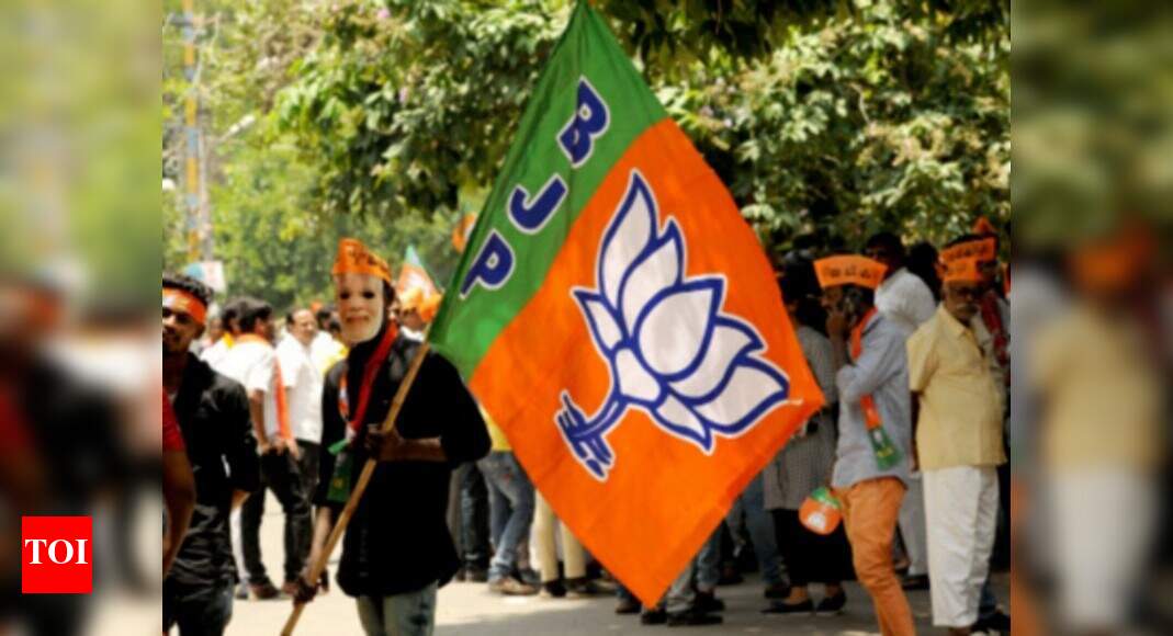 BJP candidate Mitesh Patel from Anand Lok Sabha seat accused in post ...