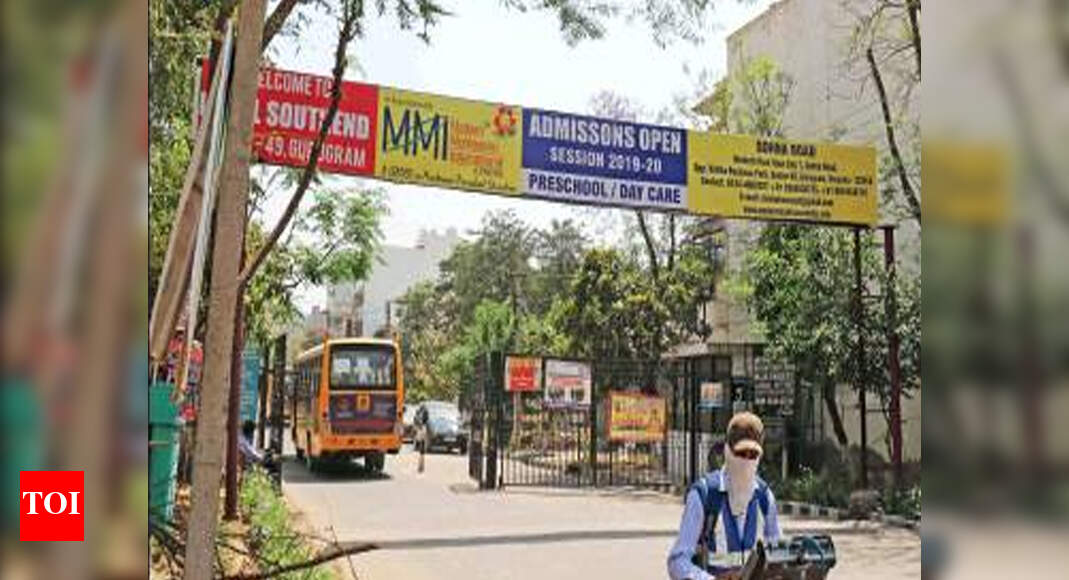 Gurugram 10 stray dogs beaten, taken away in sacks Gurgaon News