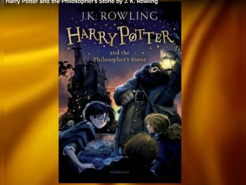 Polish Priest Apologizes For Burning Of Harry Potter Books Times Of India