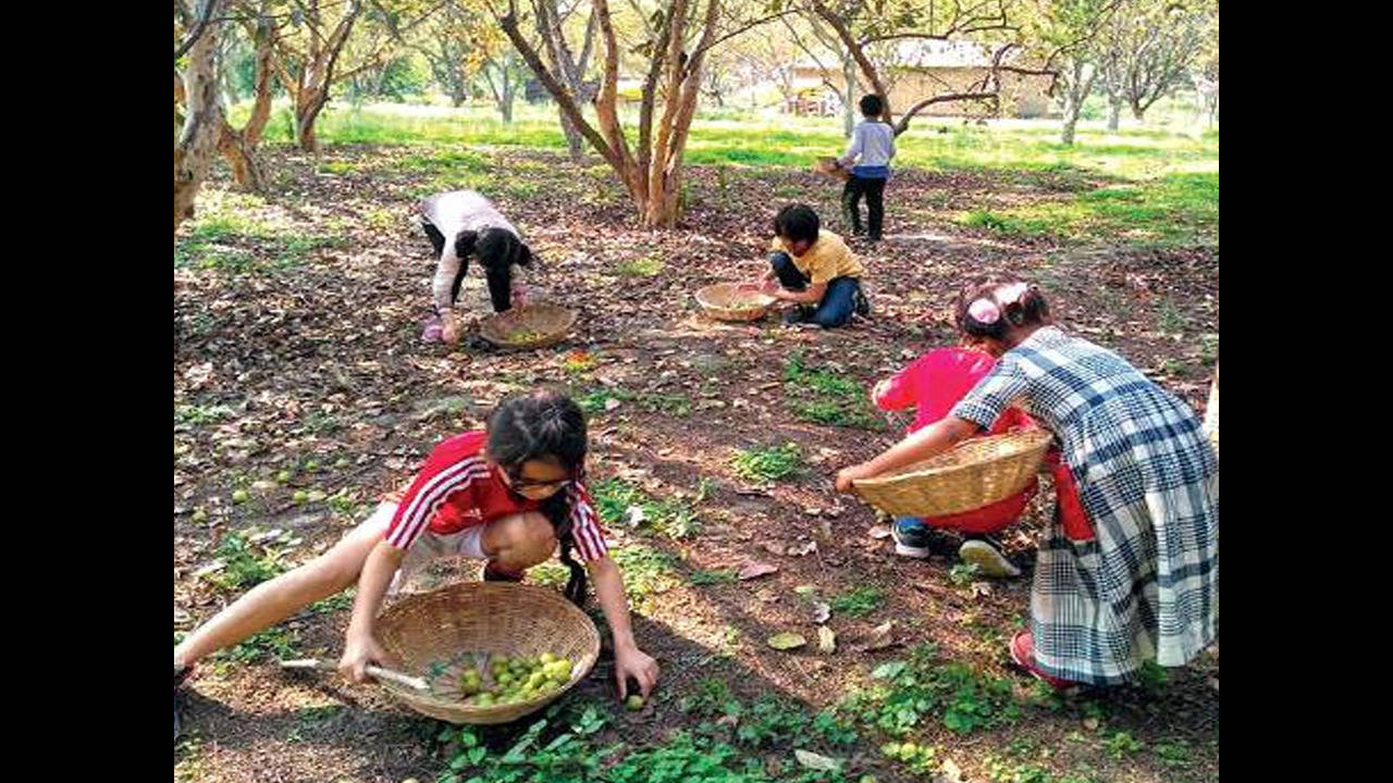 In Delhi NCR outings go beyond malls to farms Noida News