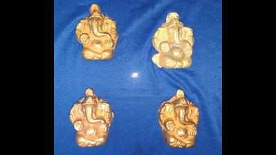 65 star tortoises, four small golden idols seized at Chennai airport