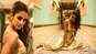 Disha Patani glitters in an all golden look!