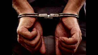 Cops make 1st arrest in golden crowns theft case
