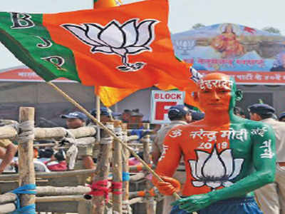 ‘Human posters’ who add colour to political rallies