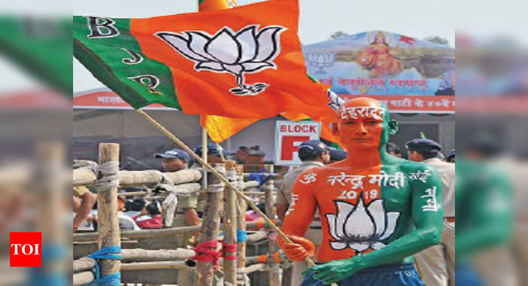 ‘Human posters’ who add colour to political rallies - Times of India