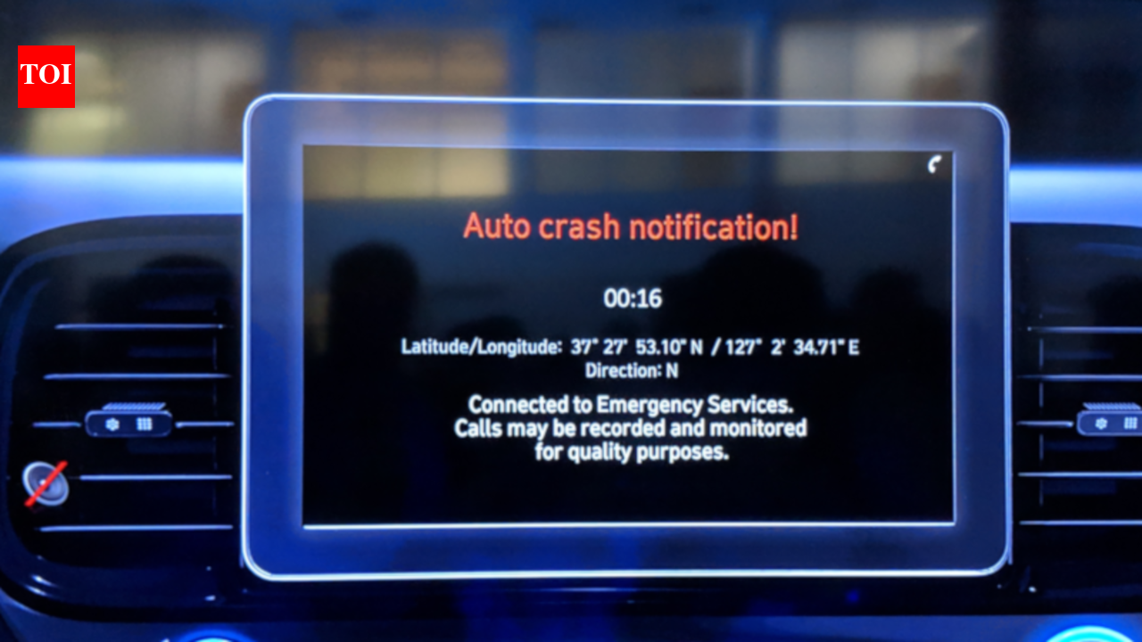 Hyundai Blue Link features