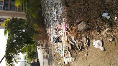 Unauthorised Debris and Garbage disposal