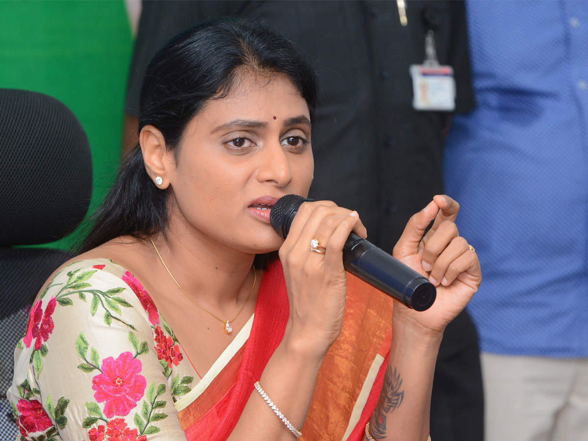 AP Elections 2019: YS Sharmila concludes her campaign in Krishna district |  Andhra Pradesh Election News - Times of India