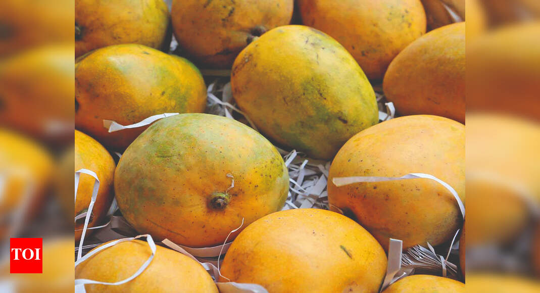 Putting Konkan’s best fruit forward Goa News Times of India