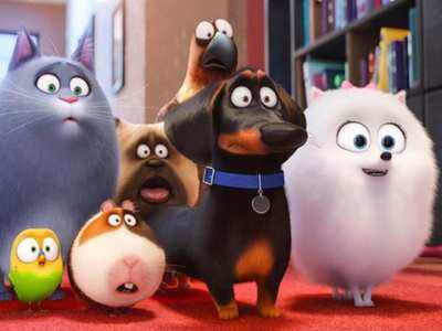 'The Secret Life of Pets 2' trailer: Delve into the emotional side of the secret world of pets