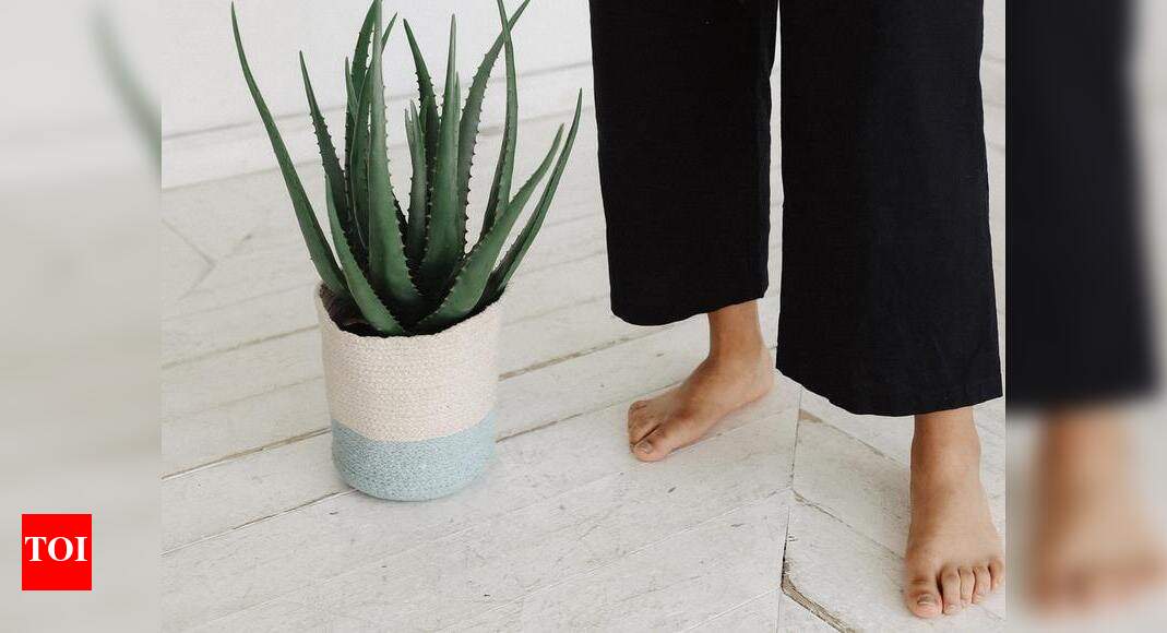 Cotton pants for women The best styles to wear during summer Best