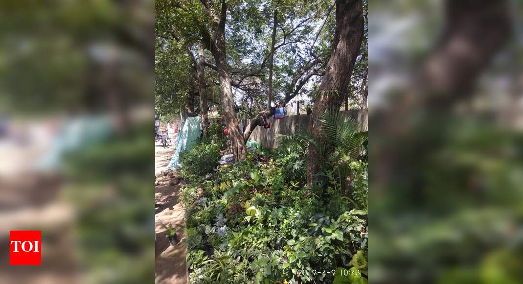 Footpaths encroached by nurseries - Times of India