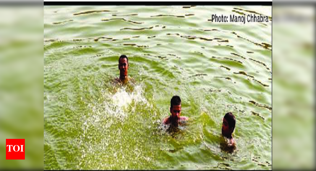 Lucknow Temperature climbing to 40°C, hottest day of season Lucknow