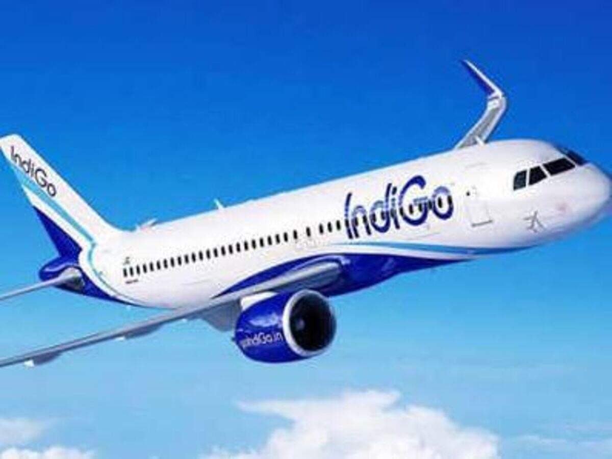 Indigo missing baggage Clearance
