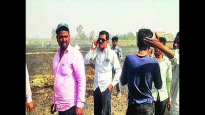Fire destroys 400 acres of standing wheat crop in Pilibhit
