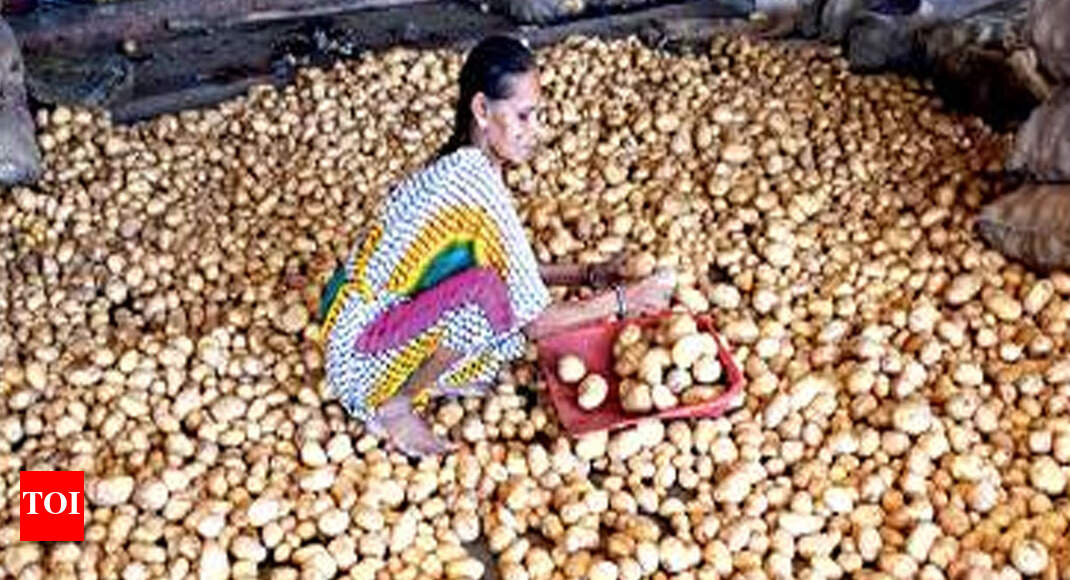 Hot potato: Guj farmers sued for copy-farming