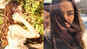 Mira Rajput shares ravishing 'windswept' picture, rocks sunkissed look