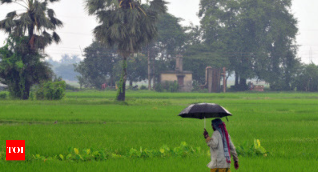 India monsoon 2019 forecast: Monsoon to be 'near normal 