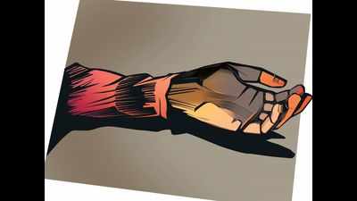 23-year-old girl ends life in Kota
