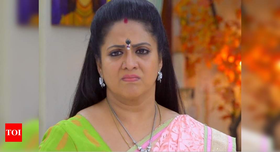 Seetha Kalyanam written update, April 15, 2019: Rajeshwari's plan ...