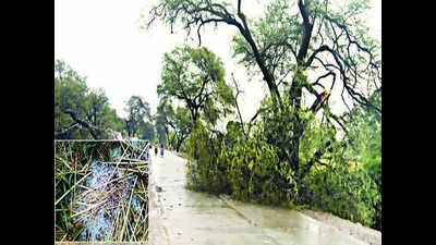Hailstorm, heavy rainfall in Indore and Ujjain divisions
