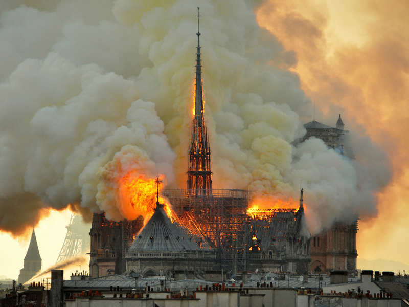 Owners of Gucci and donate to rebuild Notre Dame after fire - Times of India