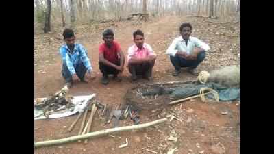 Maharashtra: Accused who poached tigress had killed two deer too