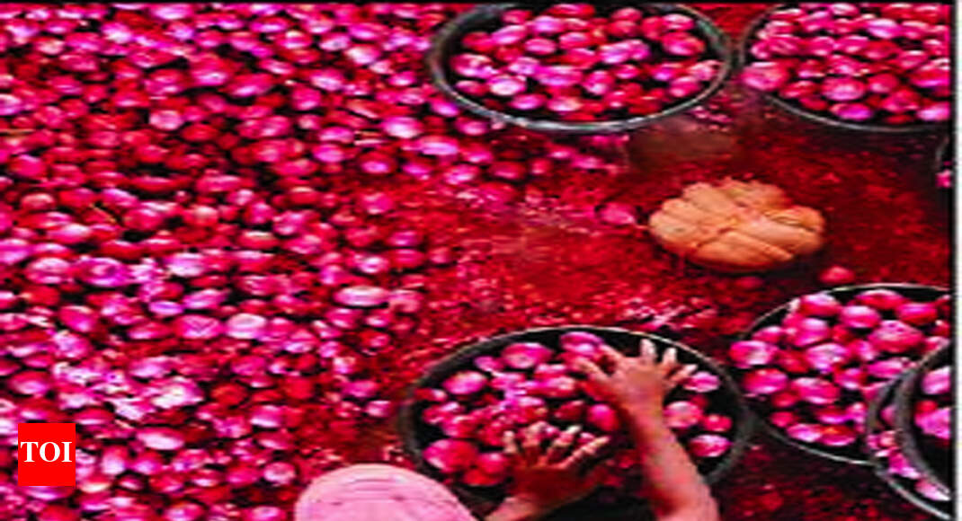 Nafed increases storage facilities for onions Nashik News Times of