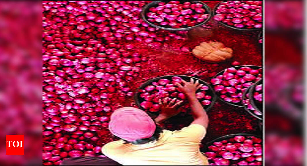 Nafed increases storage facilities for onions Nashik News Times of