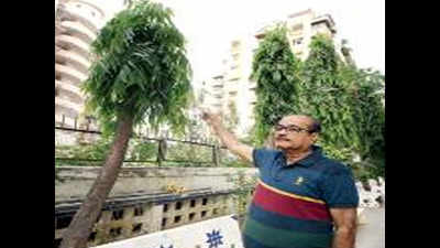 Housing society prunes trees, fined Rs 10,000