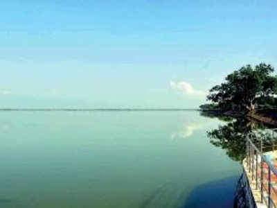 Veeranam lake turns a major water supplier for Chennai
