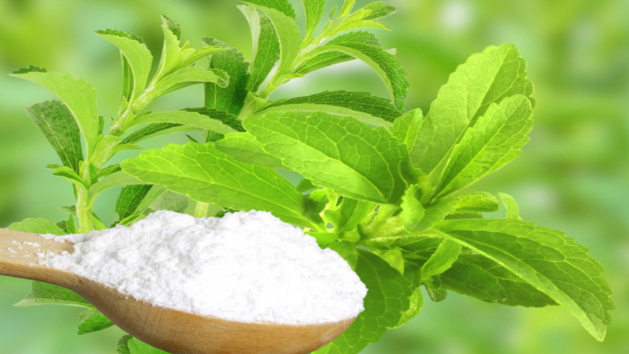 Is stevia good for you?