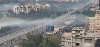 Tabelas in Aarey causing huge smoke pollution