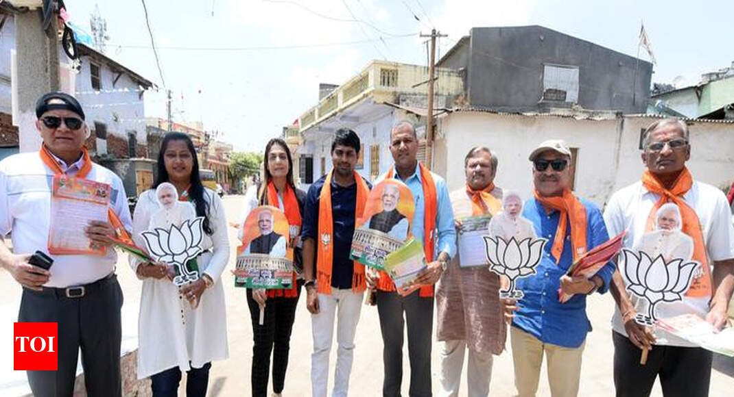 1,000 NRIs return to promote PM Modi on his home turf - Times of India