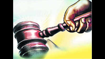 Punjab and Haryana HC grants murder convict parole for having a baby