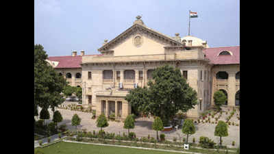 180-day maternity leave is a right: Allahabad high court