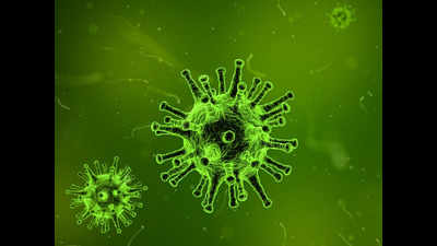 Viruses ‘hack’ molecular biological system