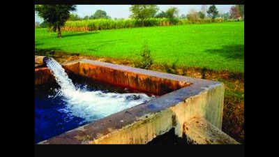 In rice bowl of U’khand, dwindling groundwater a big problem