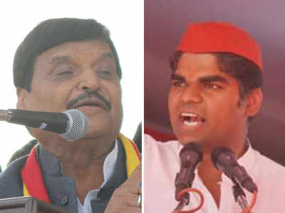 Lok Sabha elections: Firozabad, the big Yadav clan fight