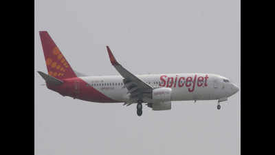 SpiceJet’s deal with Emirates offers hope