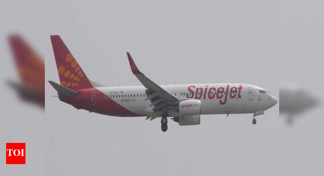 SpiceJet’s deal with Emirates offers hope | Pune News - Times of India