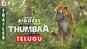 Thumbaa - Official Telugu Trailer 